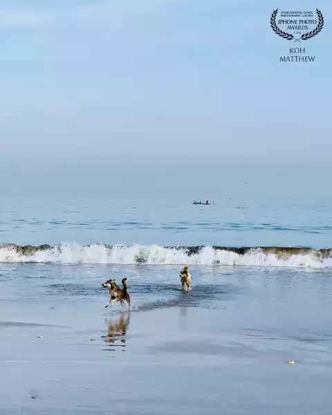 Taken during a walk with my wife in the earlier hours at a beach in Bali. Memorable moment spent tog...