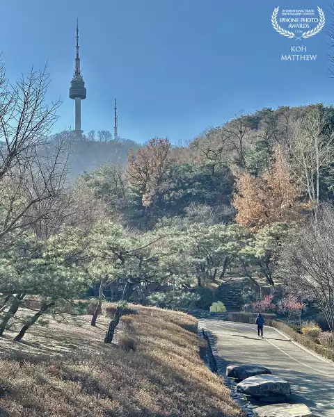 N Seoul Tower, perched on Namsan Mountain, watching over the city of Seoul 🕊️