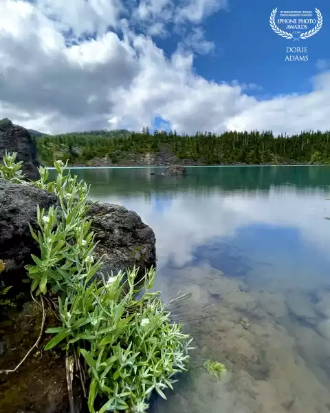 Was taken on my hike at Garibaldi Lake
Location: Squamish-Lillooet, BC
Device: iPhone 13Pro