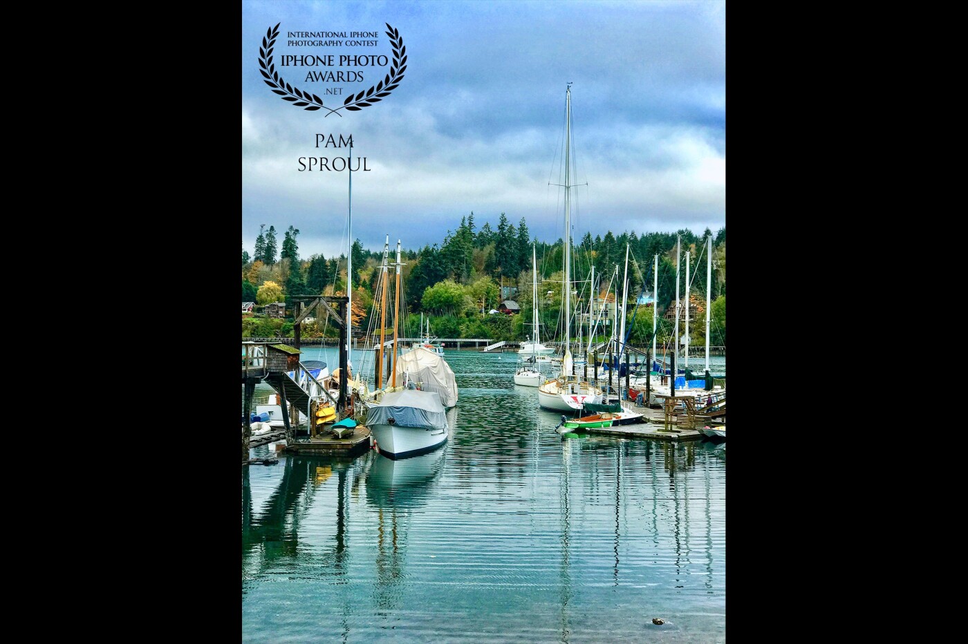 An afternoon walk on the island-processing life-the light became softer & richer.....grateful for the opportunity to capture this in my mind and in my iPhone <br />
“Soft light  island harbor view” 2018 -Bainbridge Island