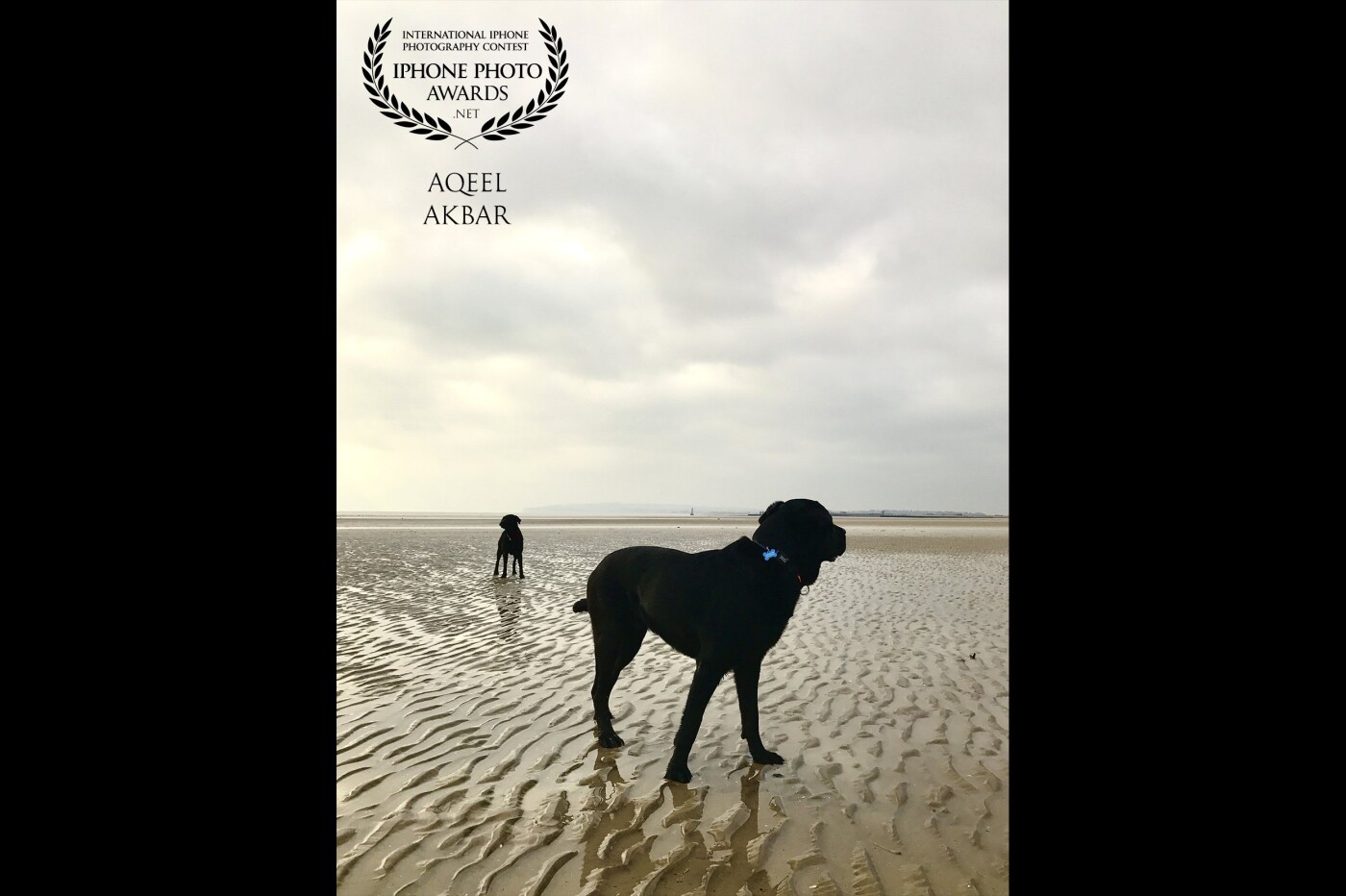If it wasn’t for these two 4 legged beings along with my two sisters, nephew and mother - I wouldn’t be standing here today. They keep me grounded, focused and entertained. This was shot in Camber Sands, Kent and it resonates me with me... like the Desert misses the rain. It has this melancholy to it.