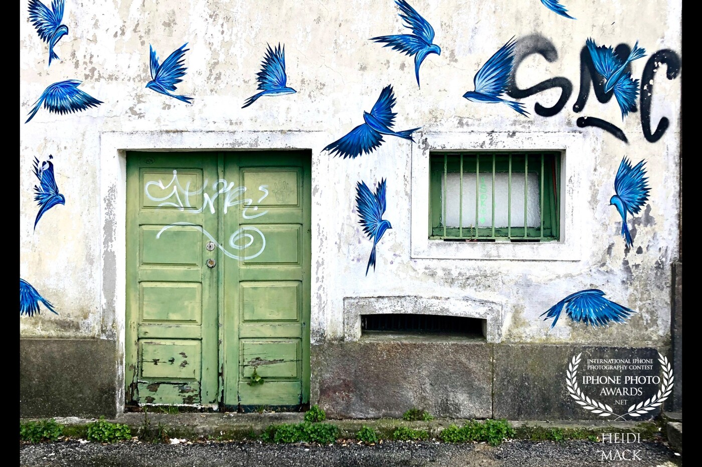 taken in Porto Portugal on my iPhone 8+. I was on a three-month solo journey to deal with some serious grief having lost my best friend of 40 years. When I saw this door and the birds I knew Patti would have loved it. titled: "Patti's Birds".  I went back a month later and the birds had all fallen off and were lying on the ground. I brought one home. 