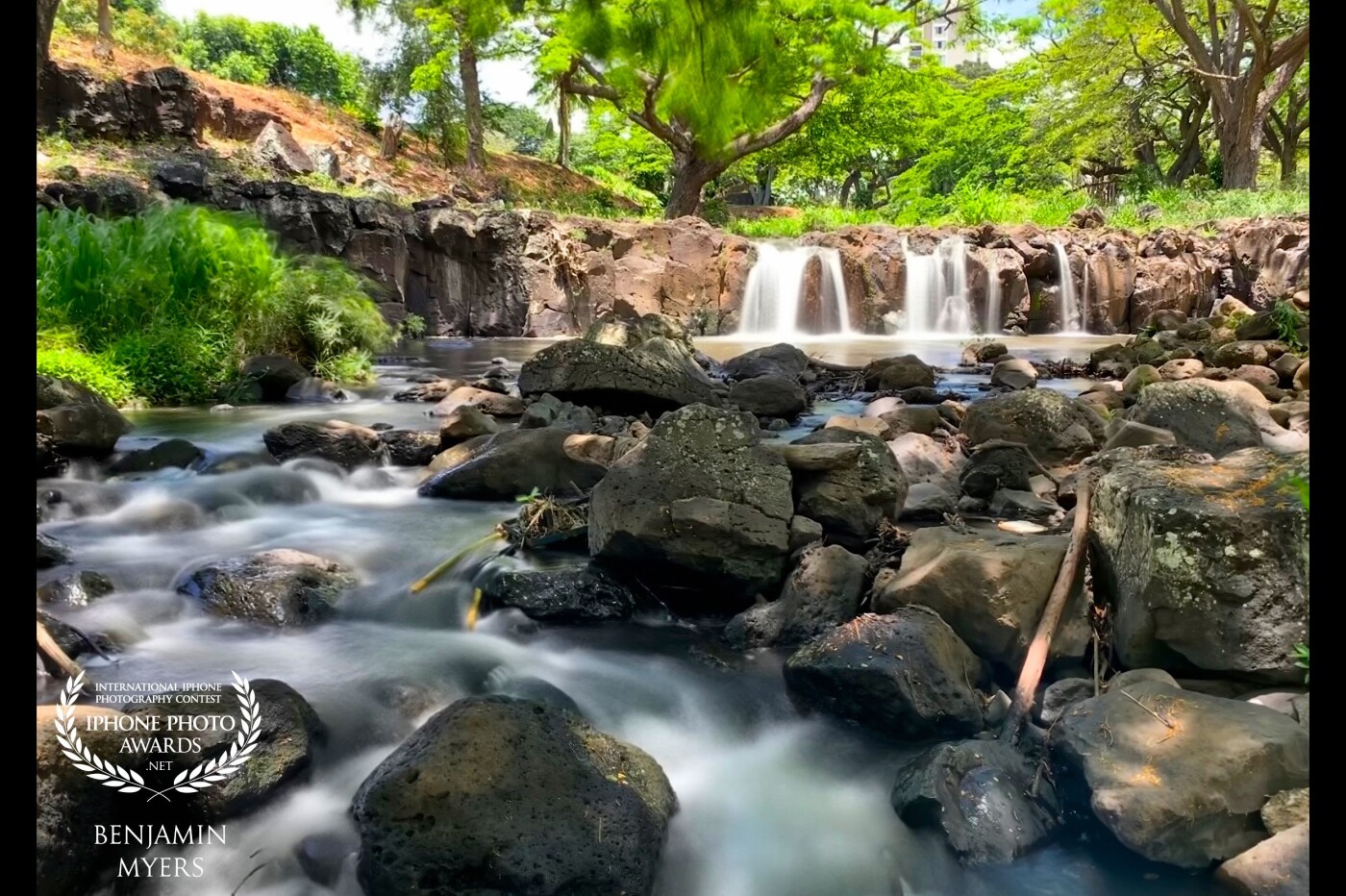 Lili’uokalani Botanical gardens are tucked away, not far from central Honolulu. It’s a beautiful area that sees little foot traffic and is underutilized.  There had been heavy rains recently, so I thought I’d check on the falls. I was not disappointed. 