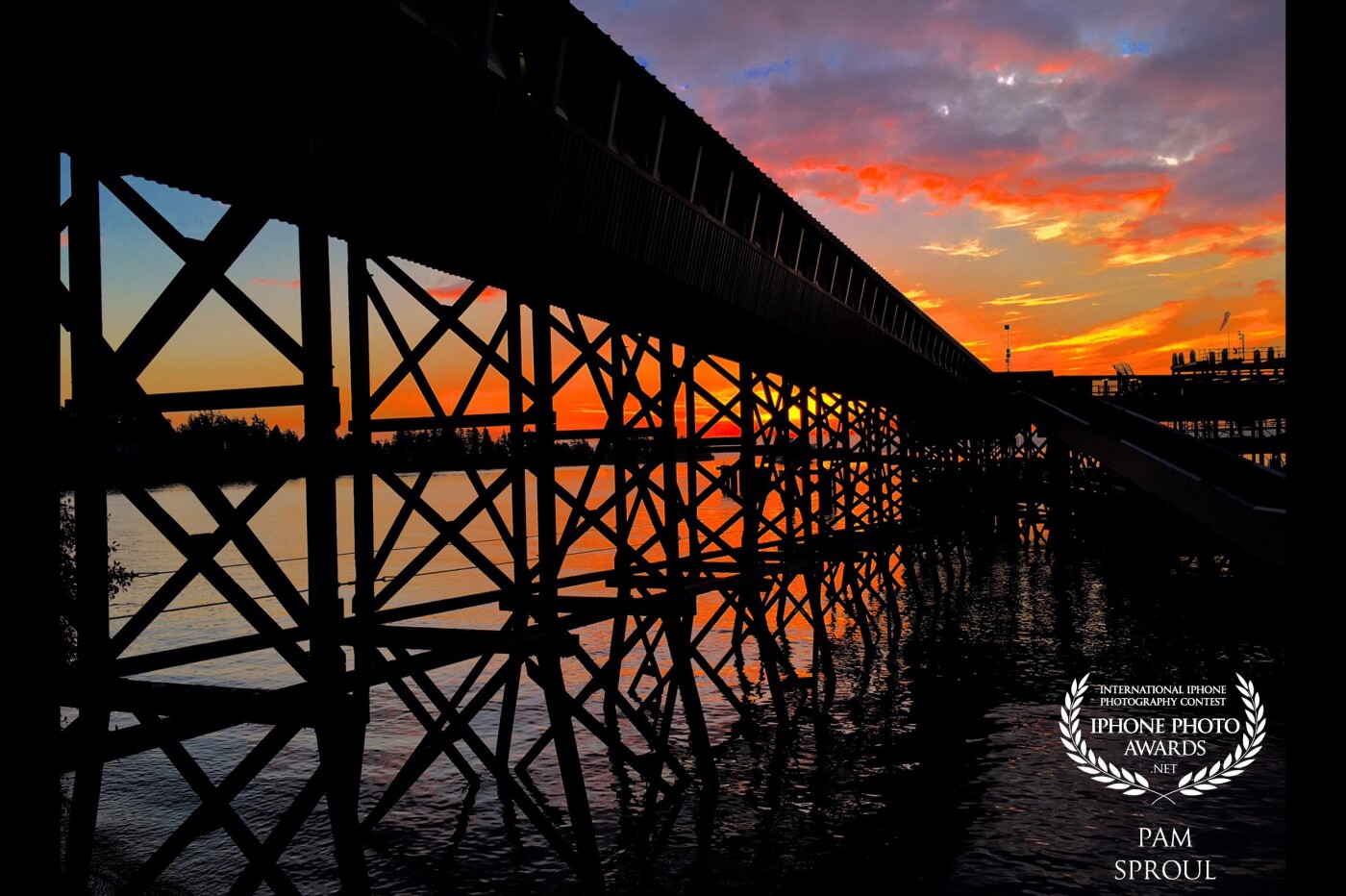 The passenger ramp leading to the Bainbridge Island ferry was lit up that morning and the color reflections through the structural supports were very intriguing.  Gorgeous sky <br />
“Ferry landing Sky”<br />
<br />
