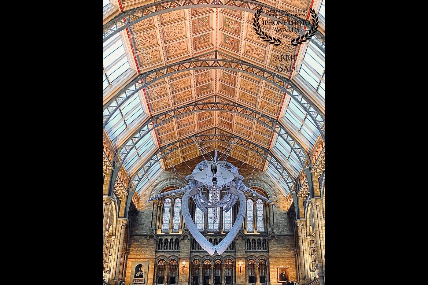 The blue whale sculpture at the Natural History Museum, London. I was in awe of its size and shape and yet it fits so well into its surroundings. The symmetry of the room lent itself well to this composition. 