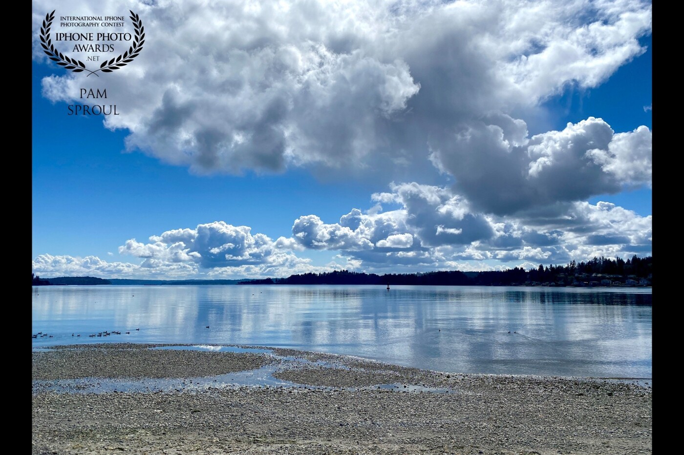 Nature has the power to heal and restore, something we need at this time in our lives~ these magnificent clouds on a warm spring day were my gift and helped restore my spirits~so very happy to share with you<br />
Lytle Beach Reflections~ Bainbridge Island WA