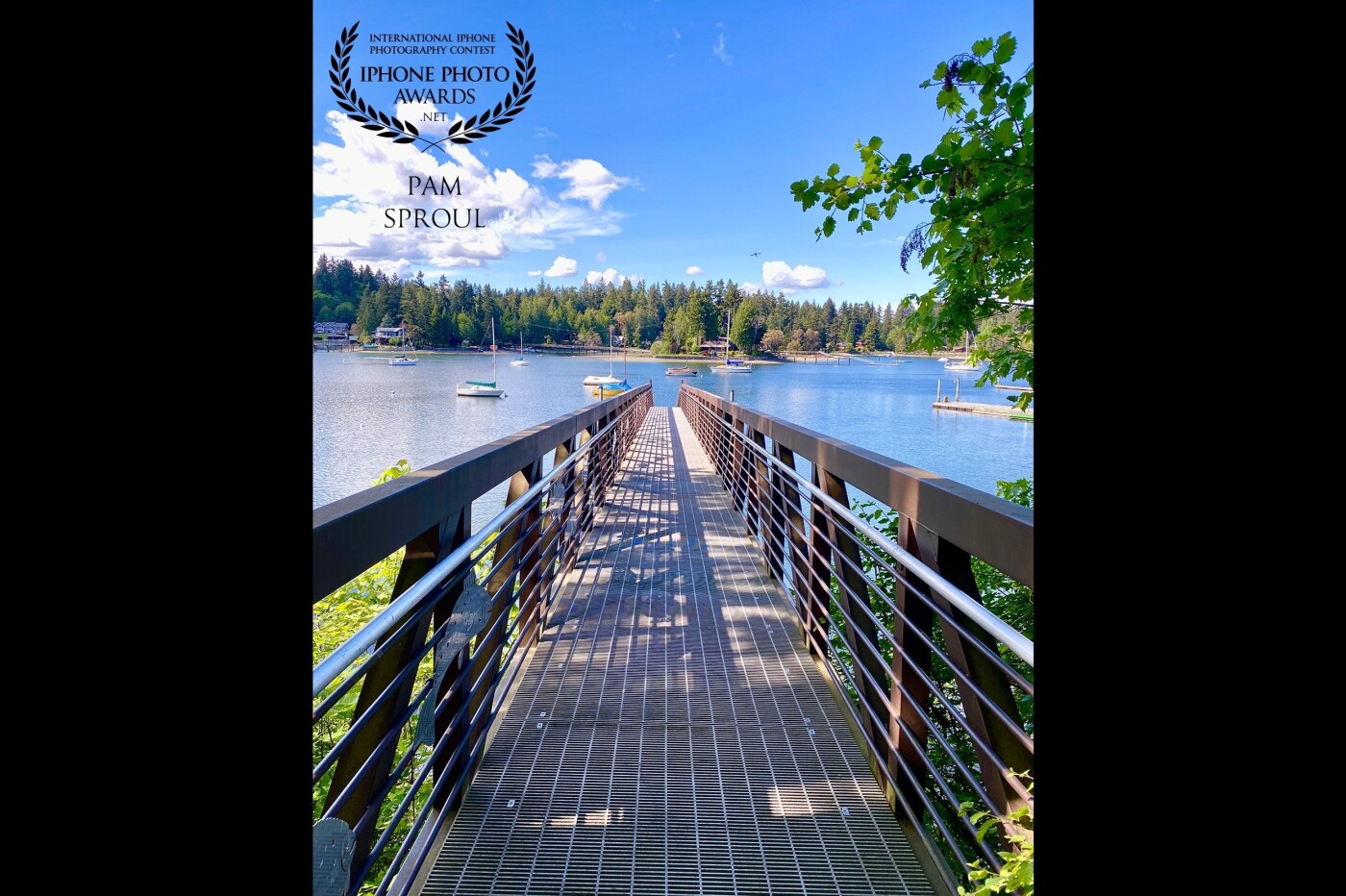 Some images invoke a feeling of peace that is very powerful. I felt this when I walked onto this dock on a beautiful spring day in the Pacific Northwest. Peace and healing capture for our world are important. <br />
“Dock peace” 2020