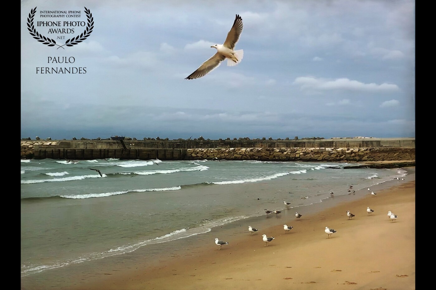During the beach walk in Ericeira / Portugal in October 2020 I had the opportunity to catch the stretch of a flying seagull. No doubt for me to name that picture "s t r e t c h". The image has been taken with an iPhone Xs + Hipstamatic.