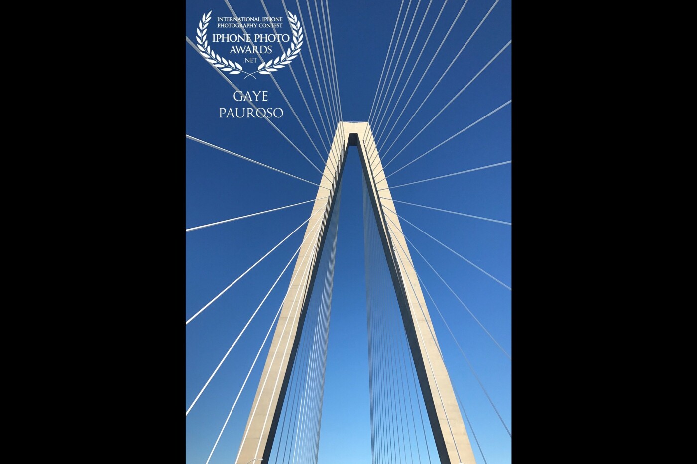 Did the Cooper River Bridge Run in Charleston, SC a few years back. As I was crossing the bridge, I stopped and took the time to grab this shot. Worth it! :) An all around great day, and this is a perfect reminder of it. :) 