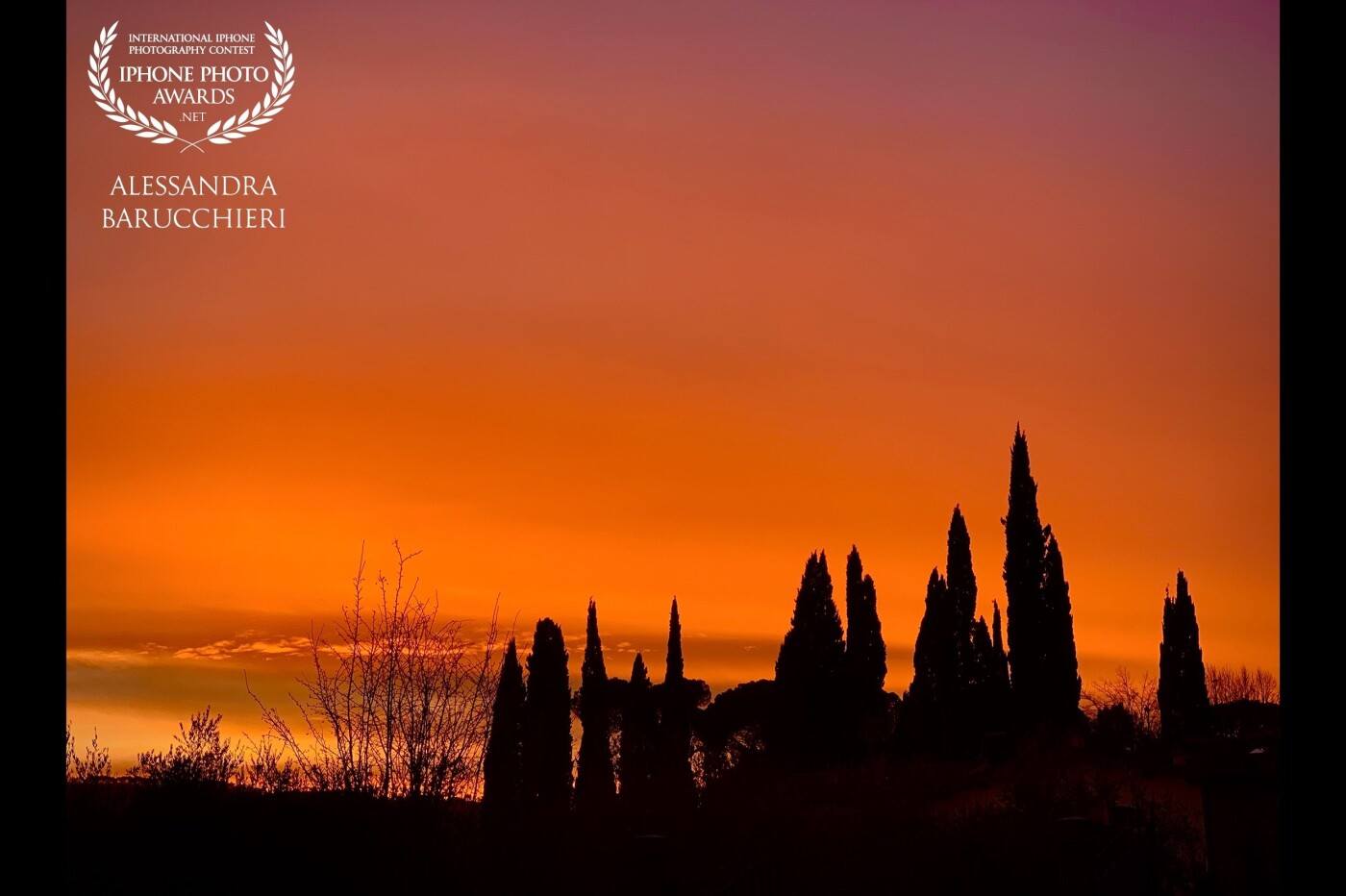 Tuscany, Italy<br />
The cypresses typical of the Tuscan countryside become poetic silhouettes against the intense red of a beautiful sunset<br />
I cipressi tipici della campagna toscana si diventano poetiche silhouette contro il rosso intenso di un bellissimo tramonto<br />
