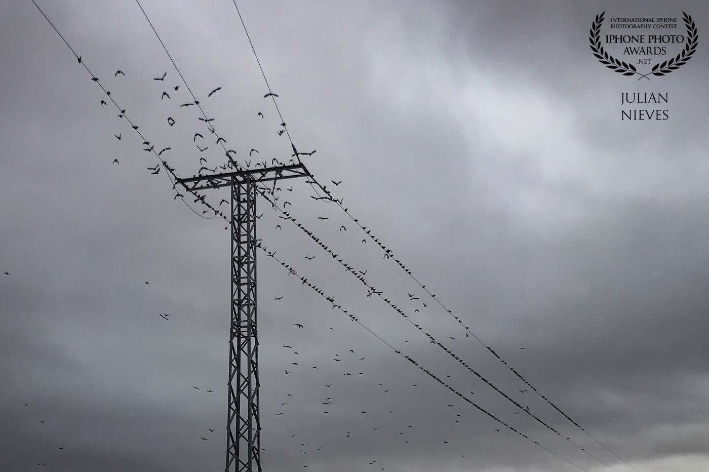 Imagen realizada en una tarde de paseo en Madridejos-Toledo, con un ambiente de nubes y bastantes pájaros revoloteando y posándose en los cables  y torre eléctrica, me recordó  la película de  Alfred Hitchcock "Los pájaros", por eso esta imagen.