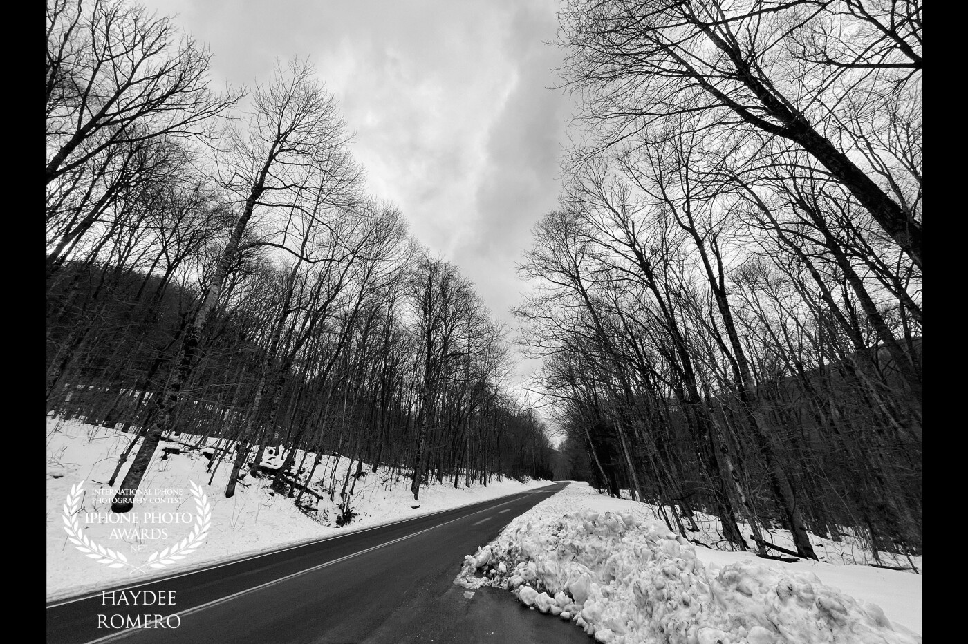 This black and white picture shows the Great Smoky Mountains National Park turned into a Winter Wonderland during snowfall in February as I drove up into the heights past leafless trees standing sentry on the cleared roadway.<br />
