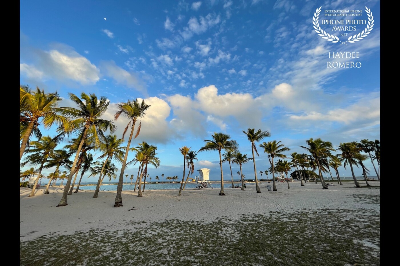 Just before sunset, puffy white clouds dot a blue sky over the palm trees that ring a man-made atoll pool at Matheson Hammock Park in south Miami. 