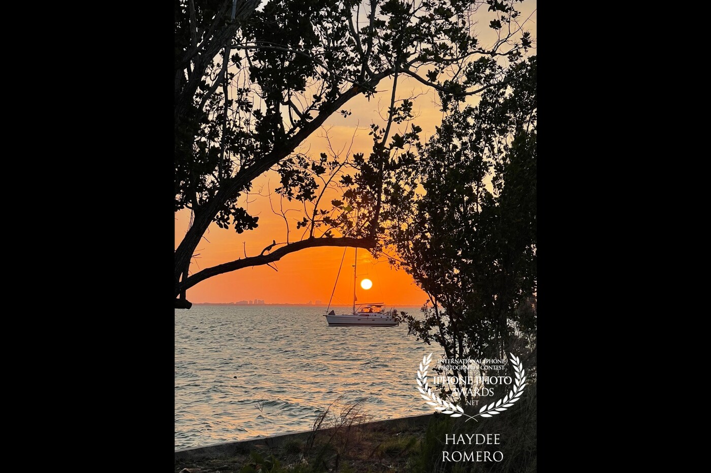 The sunsets behind an anchored sailboat framed by trees on the shoreline at the Bill Baggs state park on Key Biscayne, Florida.