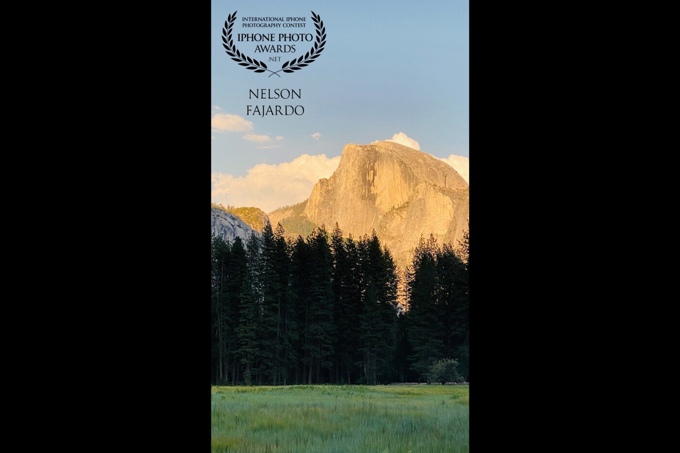 The half dome granite of the the Yosemite National park catches the afternoon sunset light with the shaded trees  on the fore view.