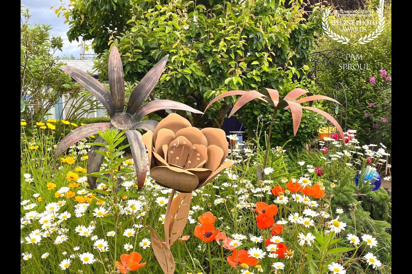 The colors and shapes in this beautiful garden were just waiting for an iPhone capture.<br />
I loved the contrast of the metal art against the wildflowers.<br />
<br />
Garden Art -“2021”