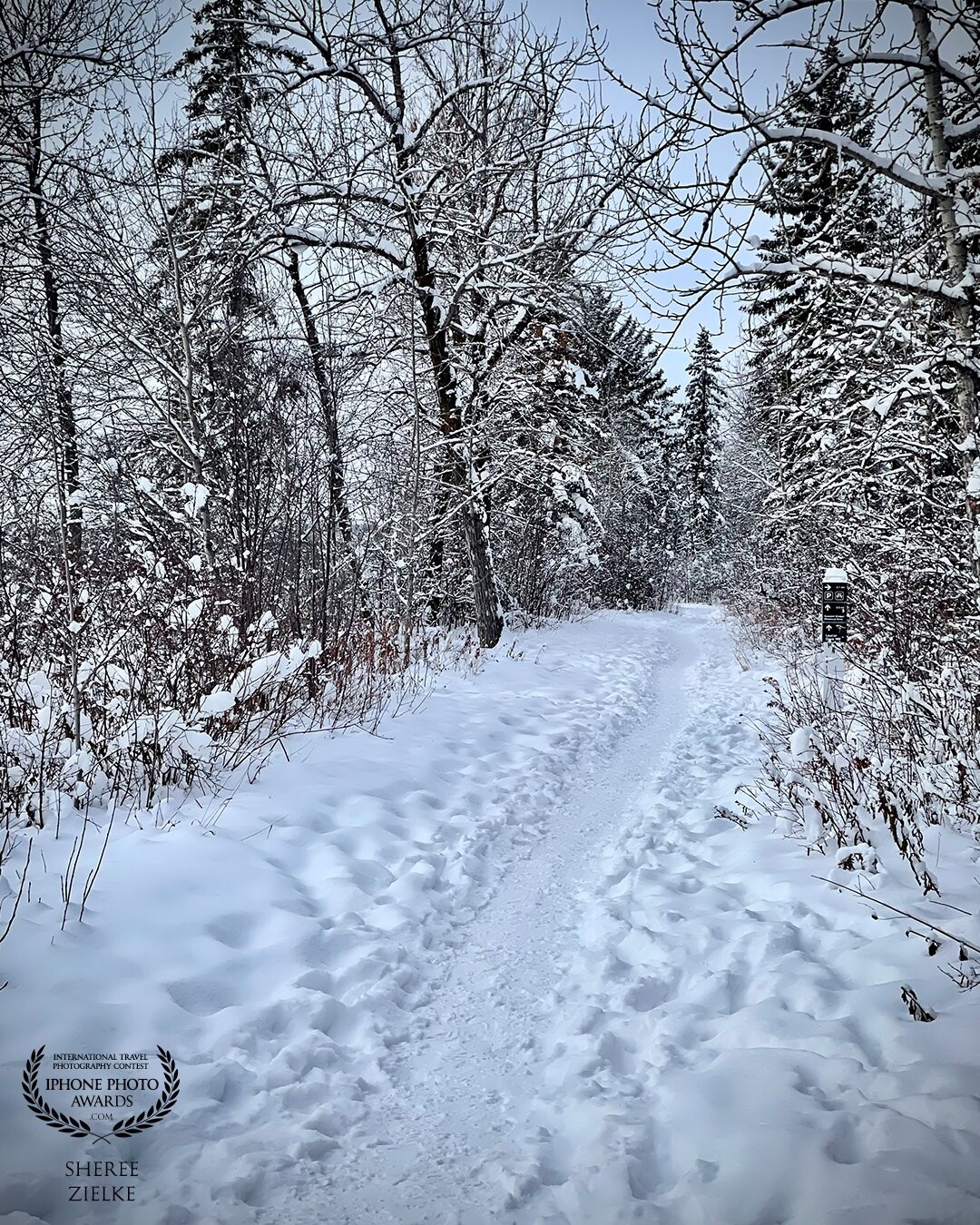 A cold and snowy day in Edmonton, Alberta. We were driving through a local park near our city’s river. We pulled over so I could take a better look around. A short walk in and I found this magical winter pathway, well-trodden, but completely deserted that day.