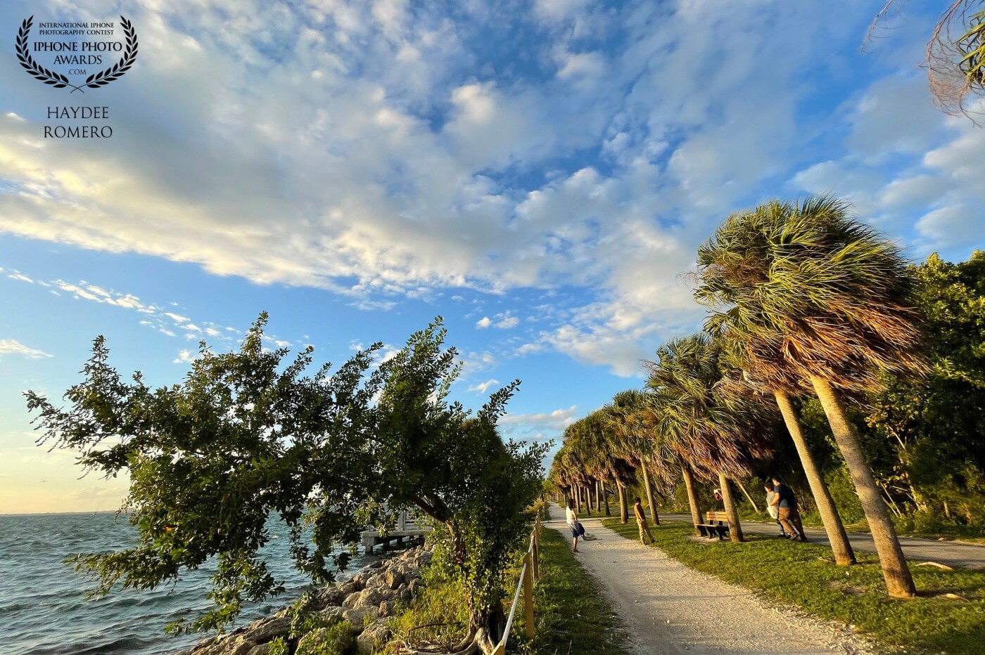 A family poses for photos on a pathway next to the water in Cape Florida state park on Key Biscayne, south Florida, while gusty winds bend the palms and send clouds rushing across the sky.