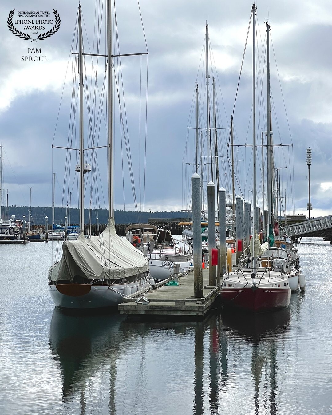 A beautiful day in the salty town of Port Townsend WA ~ this line of sailboats caught my eye with the colors and reflections. You can smell the sea in this image <br />
<br />
Sailboats in Port Townsend -2022