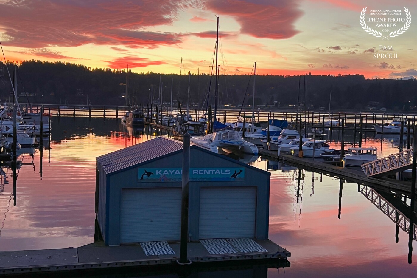 This amazing pink spring sunrise on Liberty Bay Marina kept deepening and developing as I walked on the shoreline. Very happy my iPhone allowed me to capture this colorful moment<br />
<br />
Liberty Bay Marina sunrise view ~ 2022
