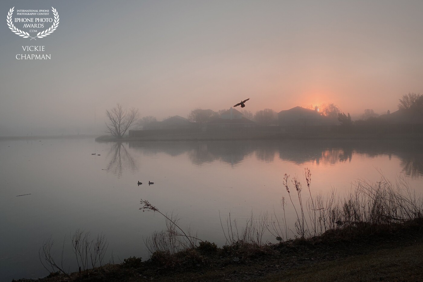The morning fog softens the sunrise to awaken the morning slowly. Thus begins a beautiful spring day on the pond. This was captured with my iPhone 11 in Crowley, Texas in April 2022.