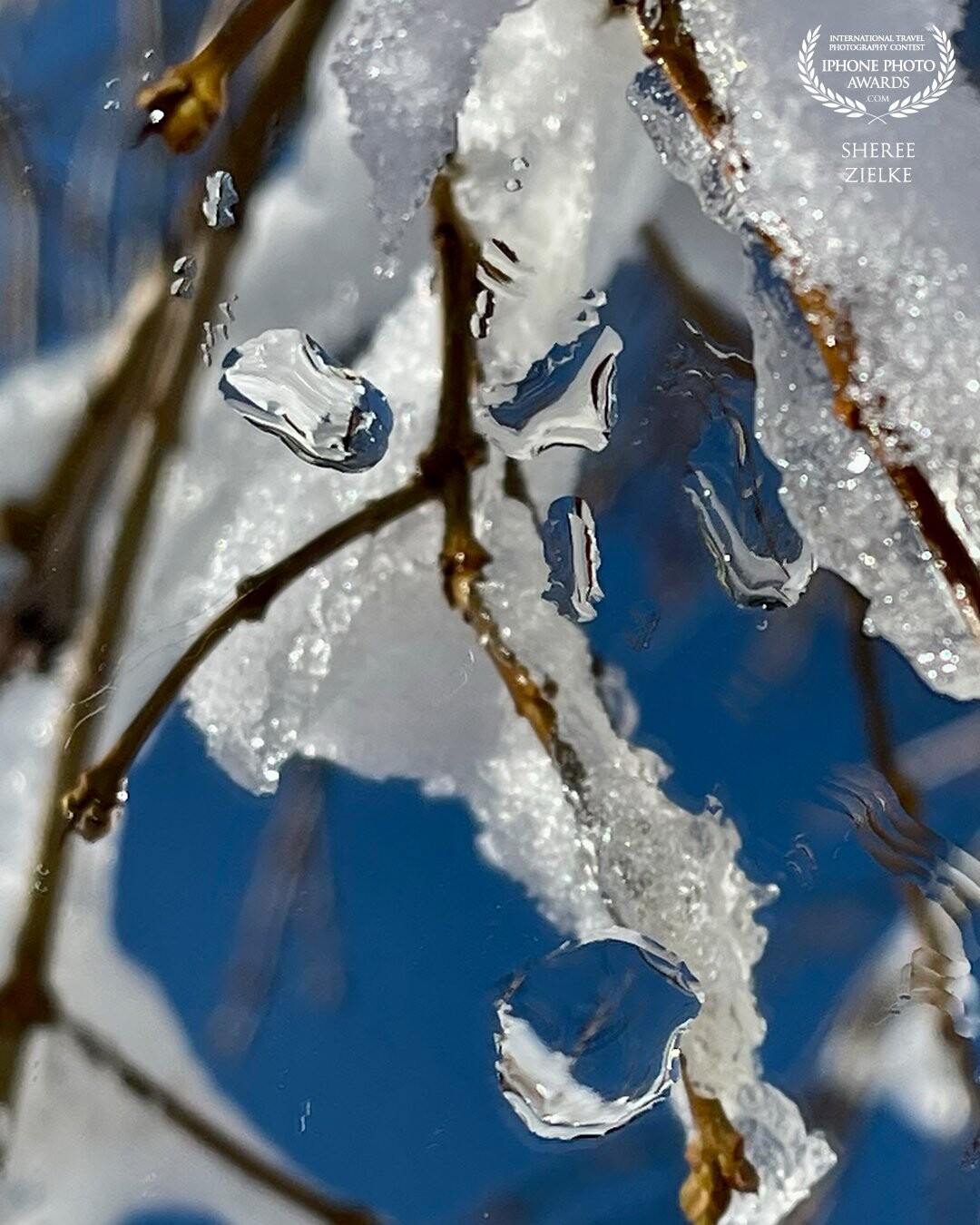 An unexpected heavy wet springtime snowfall here in Alberta, followed by warm afternoon sun led to this photo. I used a small hand mirror to catch water droplets from the melting snow, and to reflect light back up into the snow laden branches. . I loved the deep blue sky backdrop in the reflection.