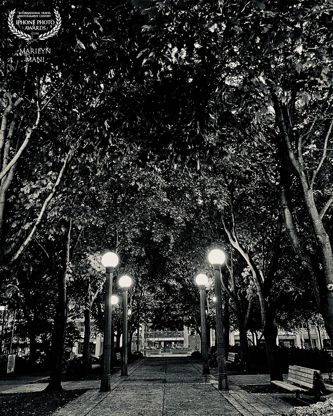 You don’t need a 100 elements to make the perfect scenery - trees (nature’s gift) and some dim lights make for the most subtle and beautiful moment even amidst the urban jungle! Shot here at Music Garden, Harbourfront, Toronto.