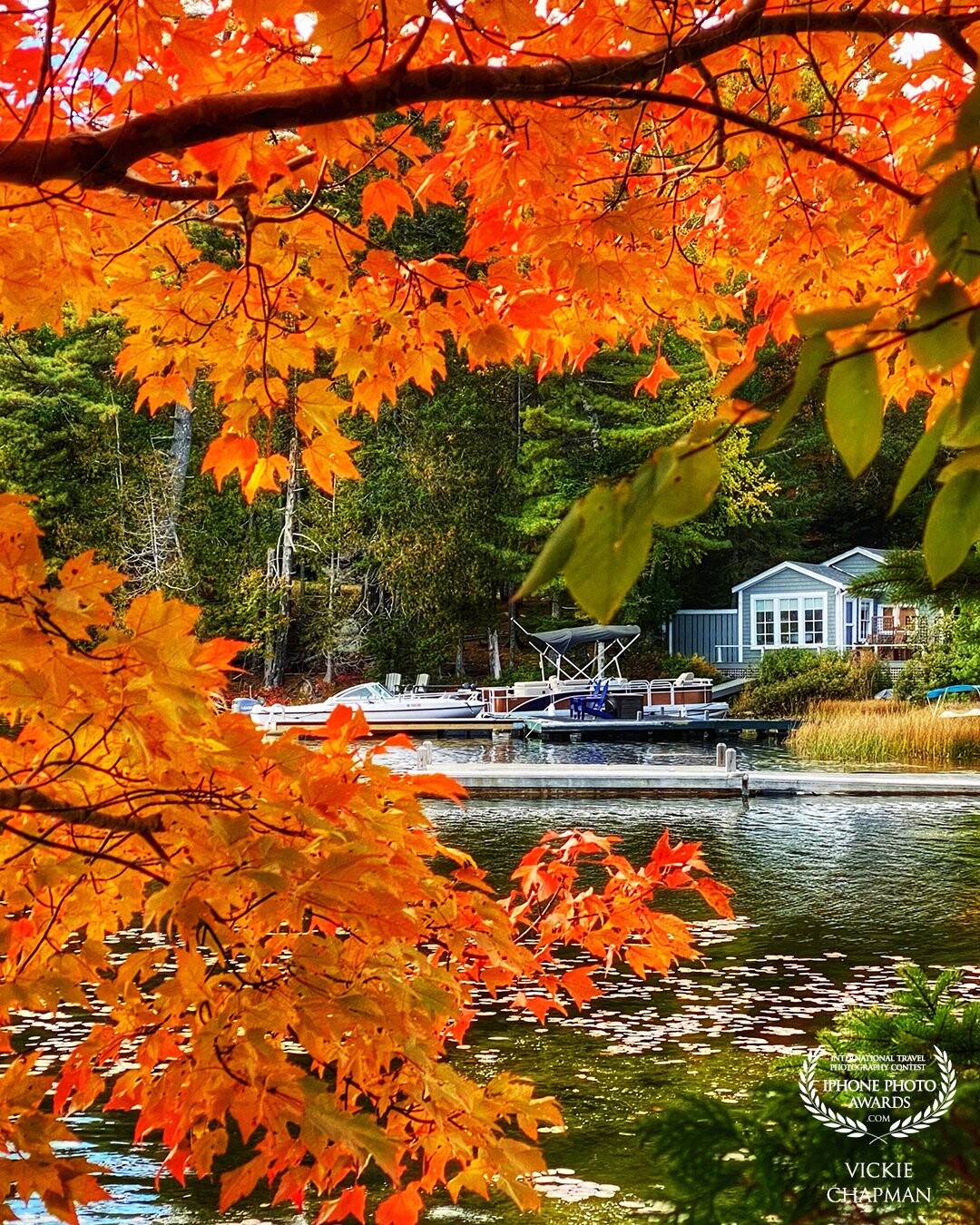 I was drawn to the beautiful bright autumnal leaves when I noticed that this made wonderful frame for the nearby home! This marvelous place is in Mount Desert Island, Maine, USA. Slight edits were made with Snapseed.