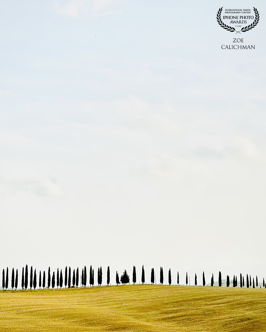 A distant dream of Tuscany. Unreal cypress trees lining the edge of the horizon. Breathless sight.