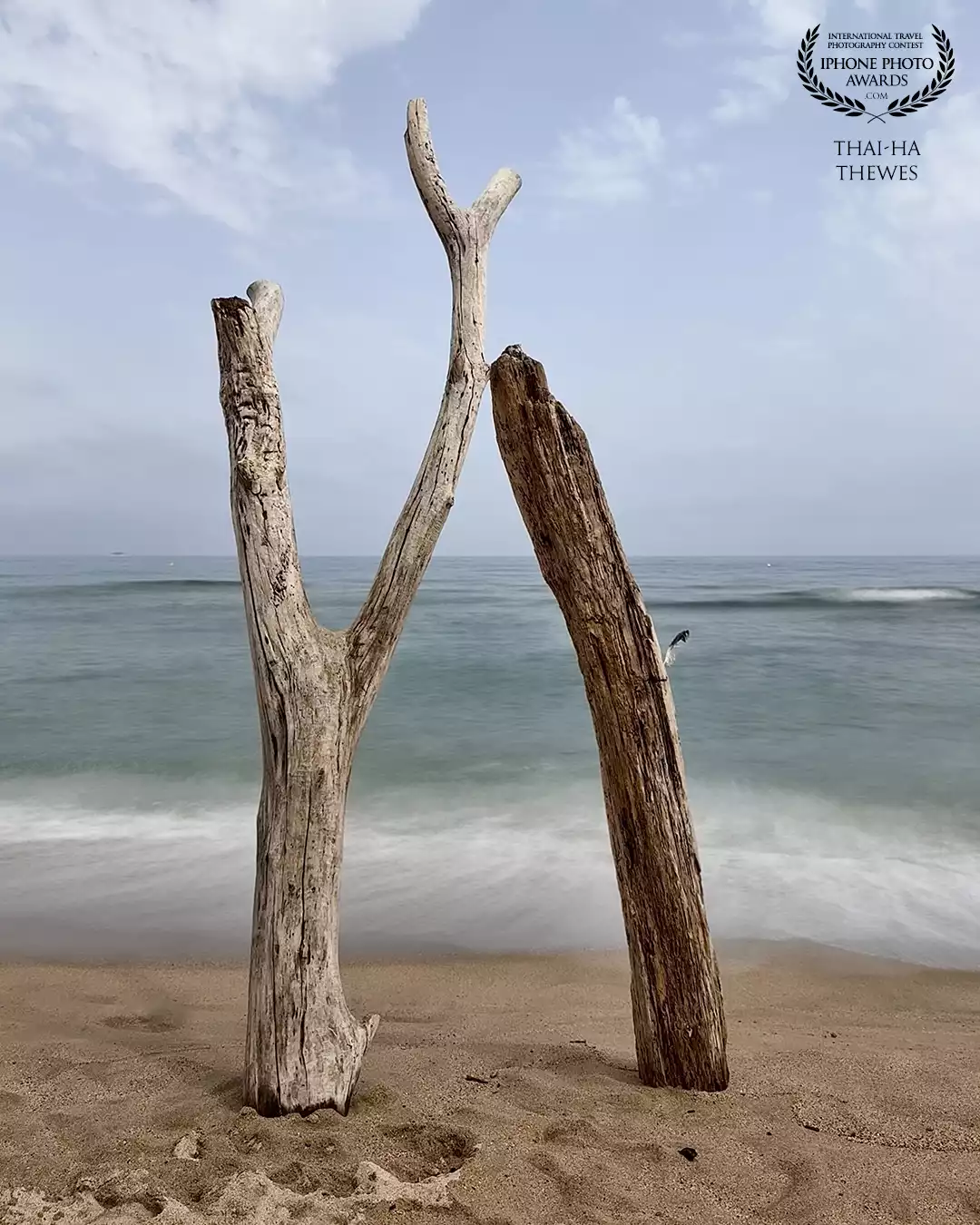 Interesting tree trunk formation and long exposure shot from the beach Platja de la Fonollera, Costa Brava, Spain.
