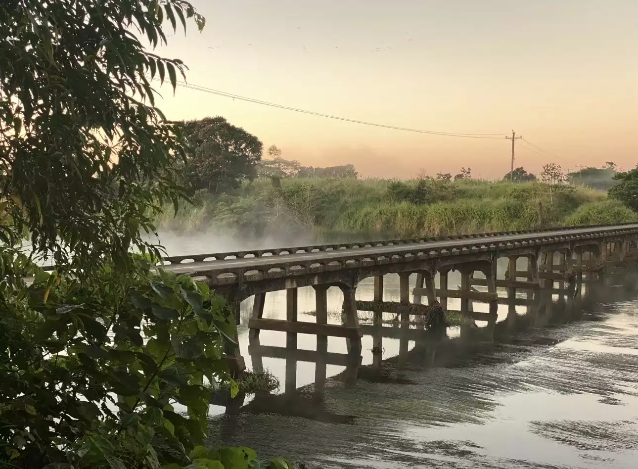 Misty morning on the Johnstone river in Innisfail, Queensland