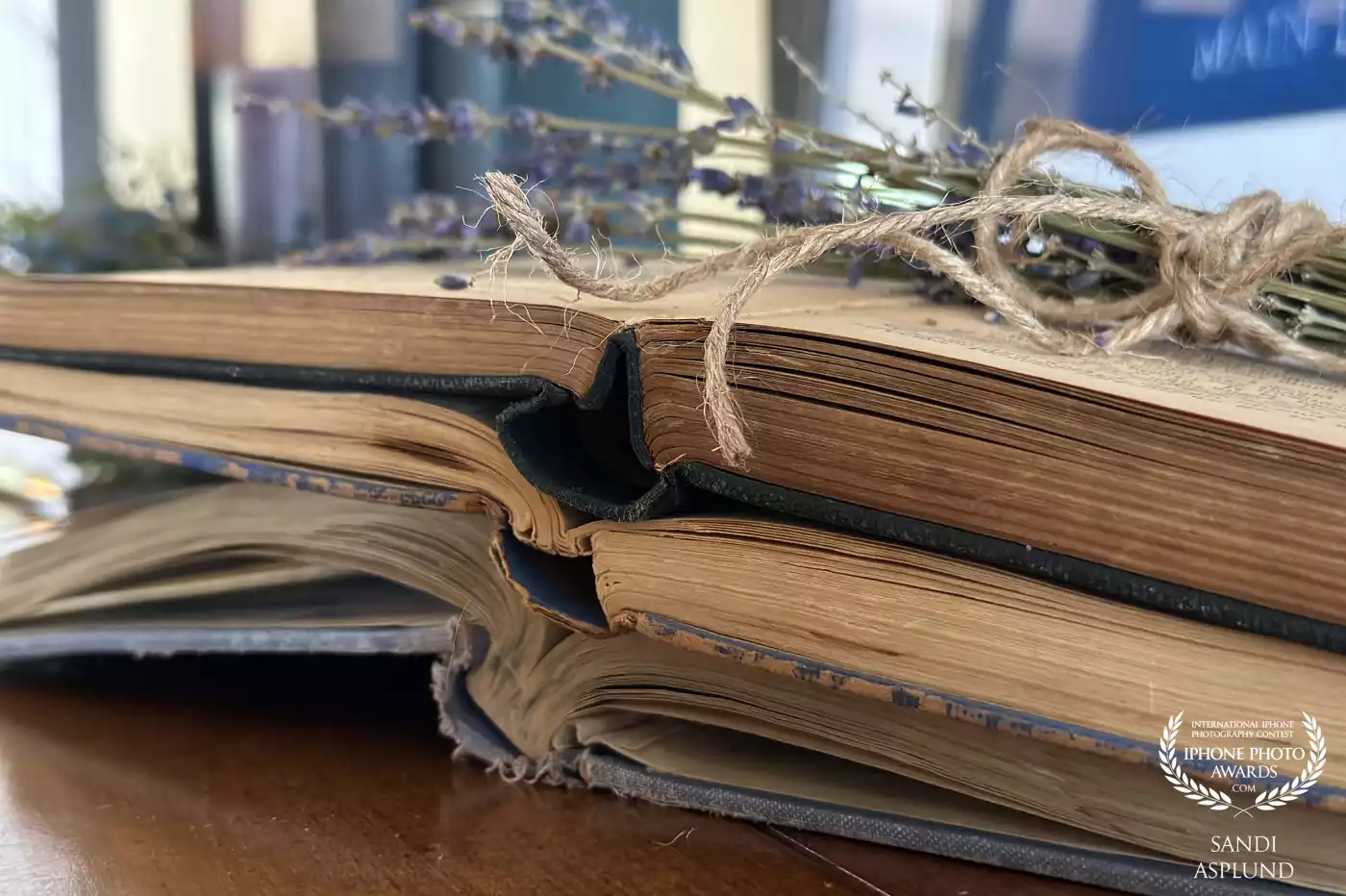 Vintage school books that have withstood the test of time. Oh the stories they could tell from the many students who have spent countless hours perusing their pages.