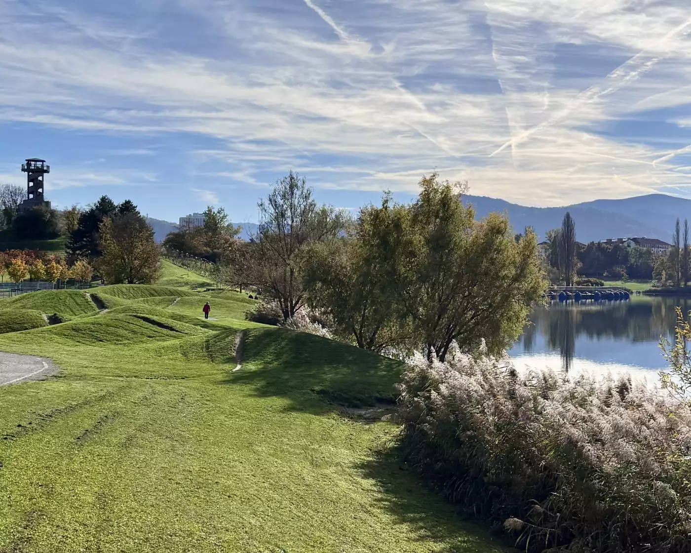 Beautiful pathway along the lake Flückigersee in Freiburg, Black Forest, Germany.