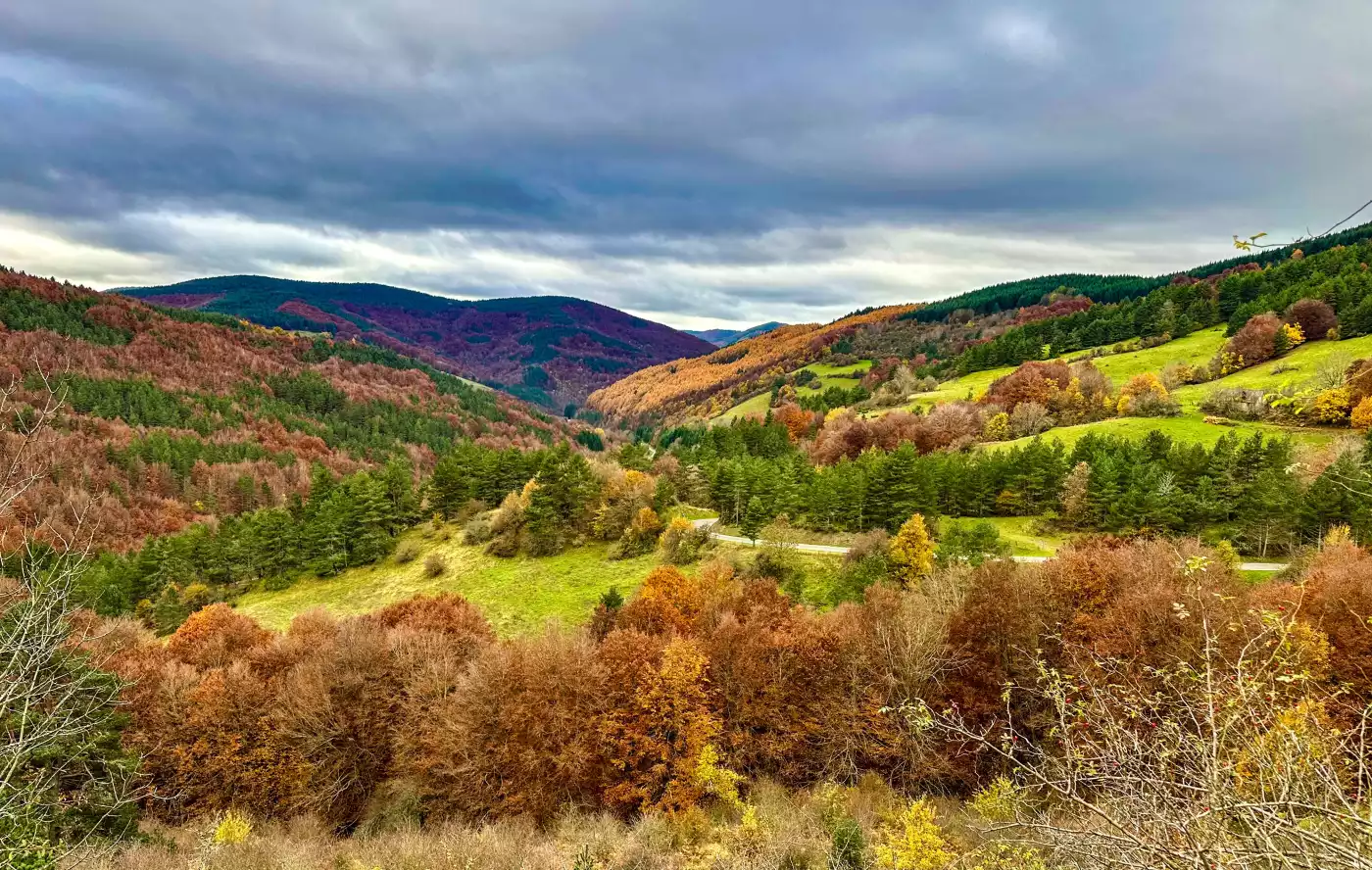 La Selva de Irati en Navarra tiene unos colores indescriptibles al llegar el otoño por brillar con s...