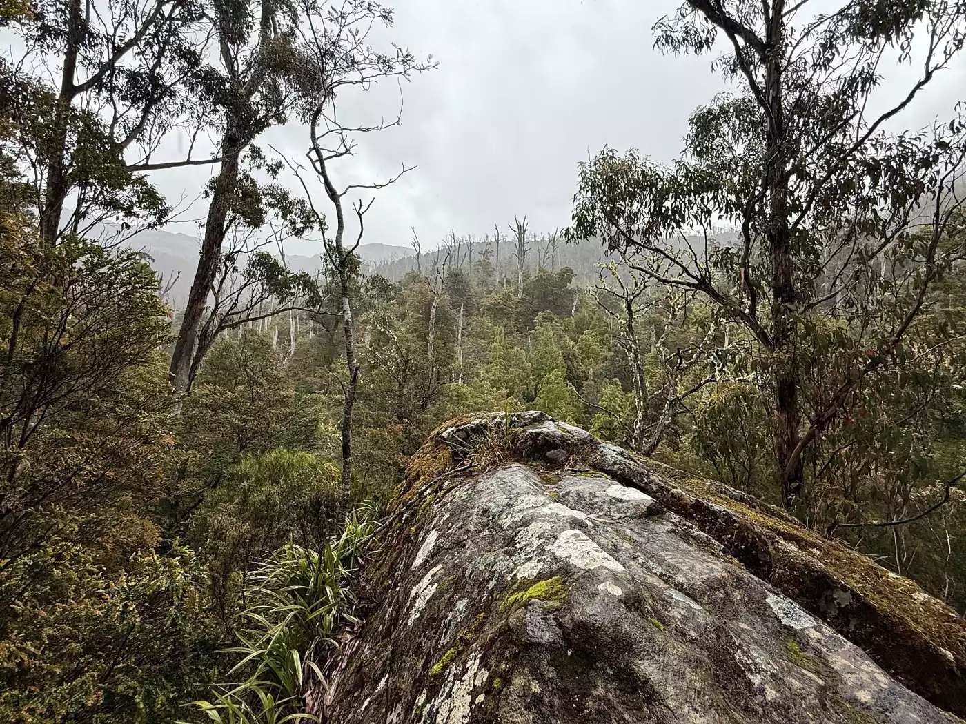 Rock lookout - Meander Valley, Tasmania