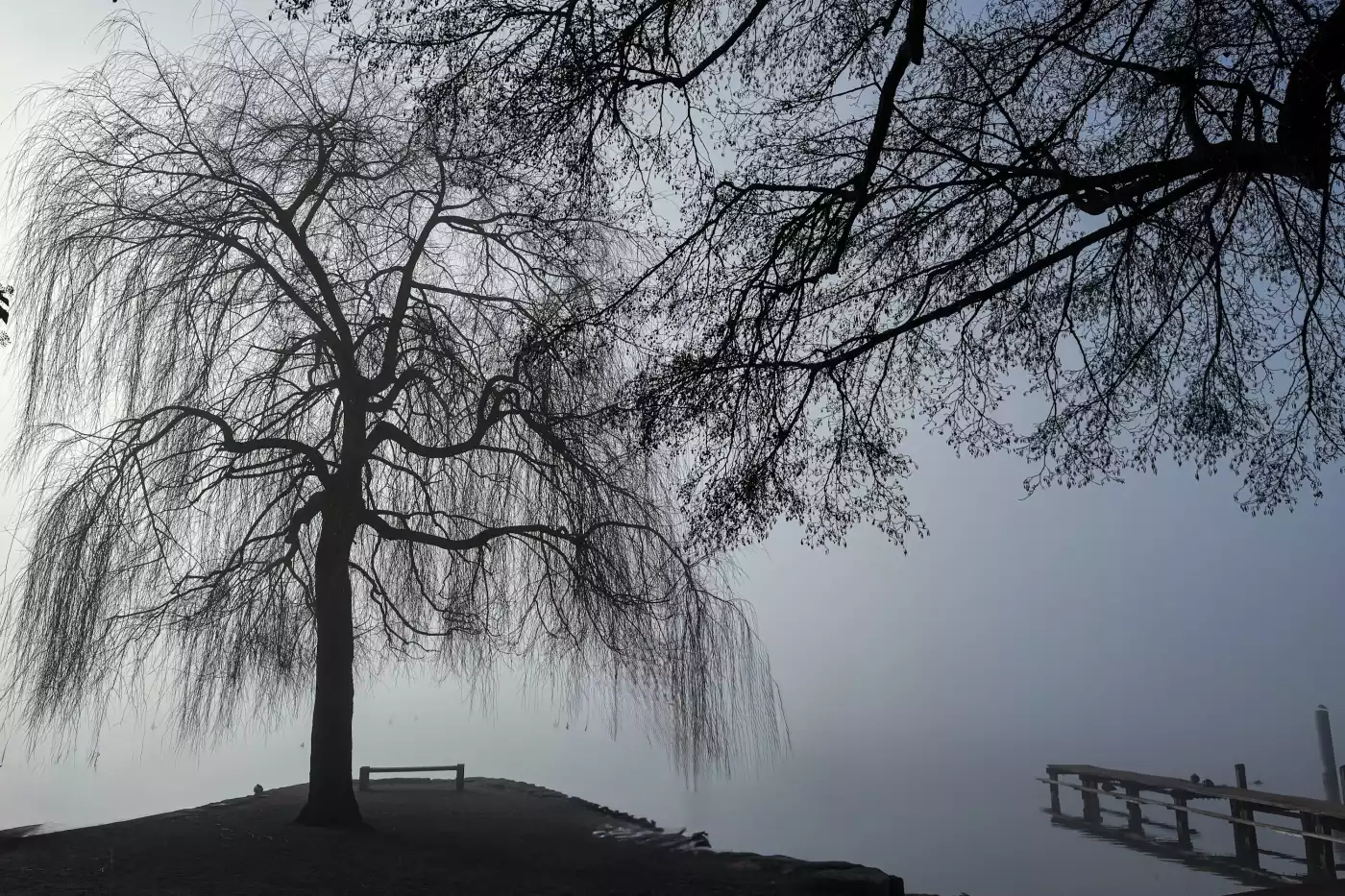 The bench. 

The sun peeks through the misty weather, creating the perfect conditions for some photo...
