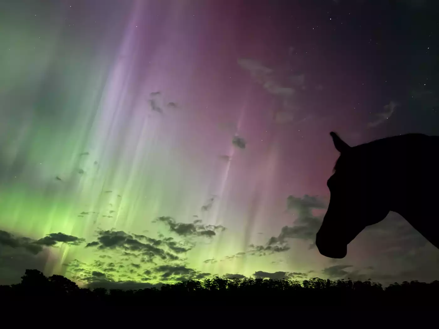 Aurora - Southern Tasmania 2026