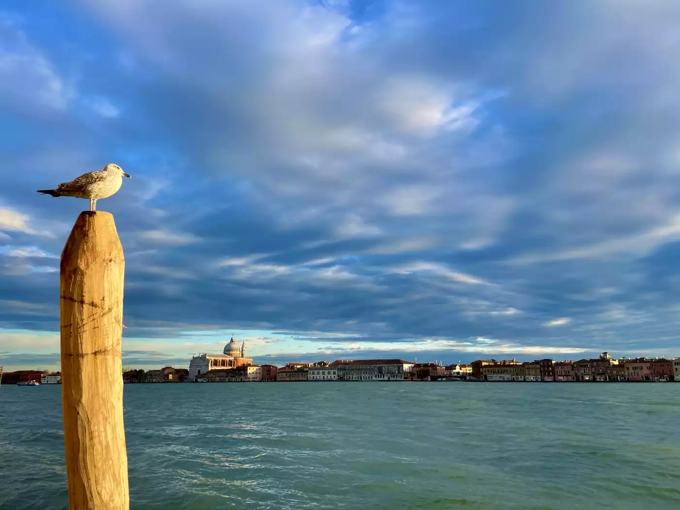 Giudecca Island, one of the few places in Venice still untouched by overtourism, is still a gem that...