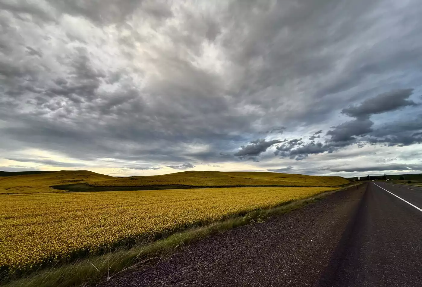 Golden hills glow beneath a brooding sky, holding a moment where calm and storm breathe together.