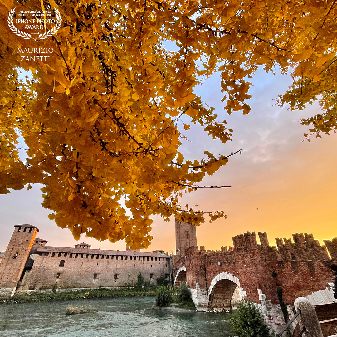 The splendid colors of autumn with Castelvecchio as a backdrop. In beautiful Verona.