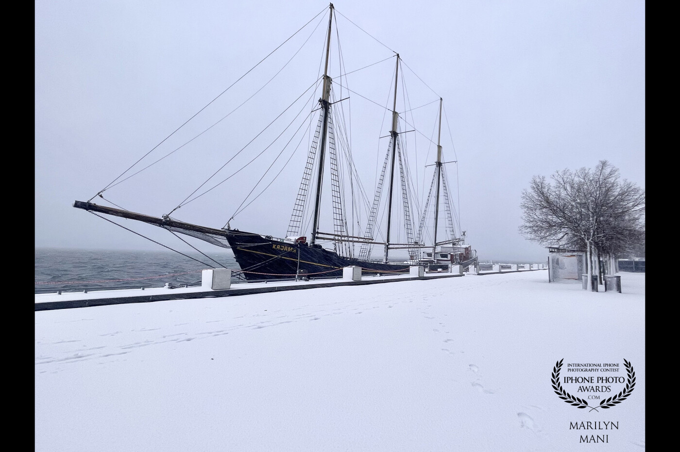 No snowstorm could stop me from capturing this beautiful view on a cold day at Harbourfront, Toronto. My fav neighbourhood boat - the Kajama stands there in all its glory !