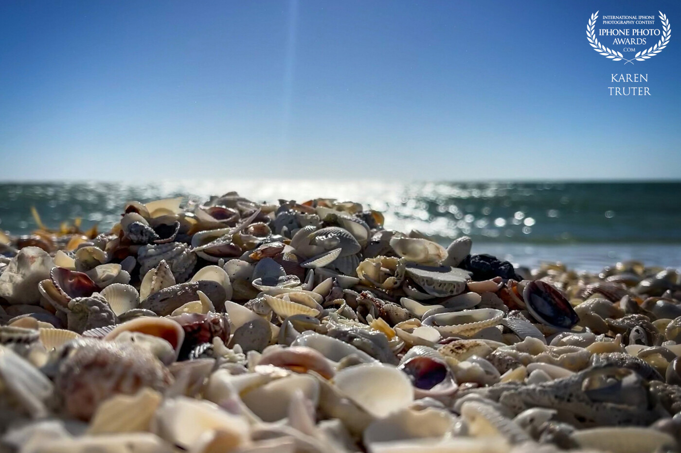 For this photograph, I turned my iPhone upside down and rested it on the shells and focussed on the middle ground to obtain this depth of field. I love how the sunbeam provides a leading line to the shells.