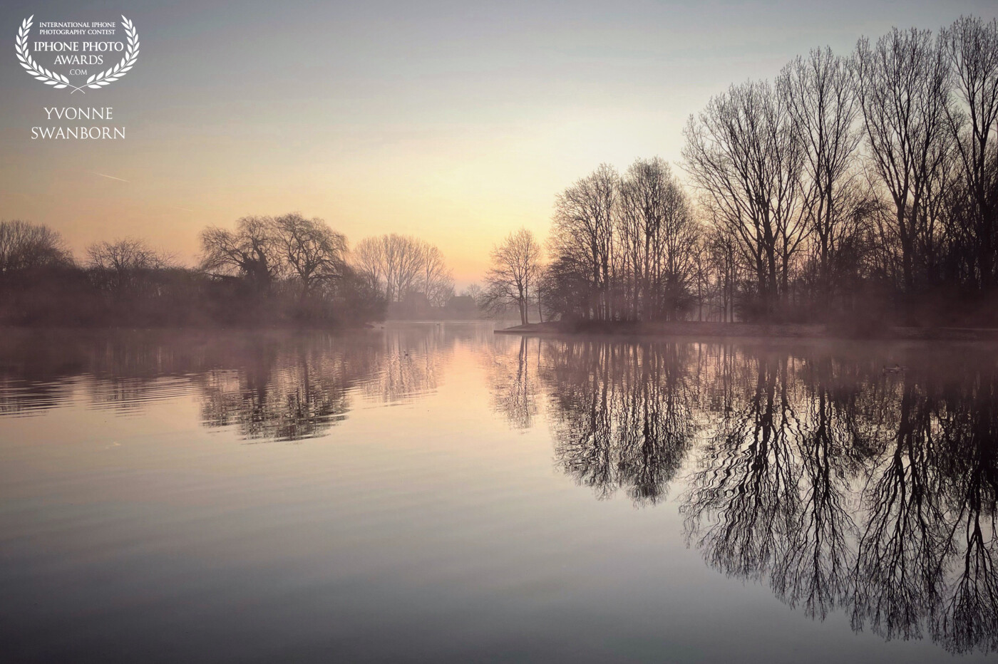 Walking my dog on a cold misty morning. I loved the mist and the reflections.