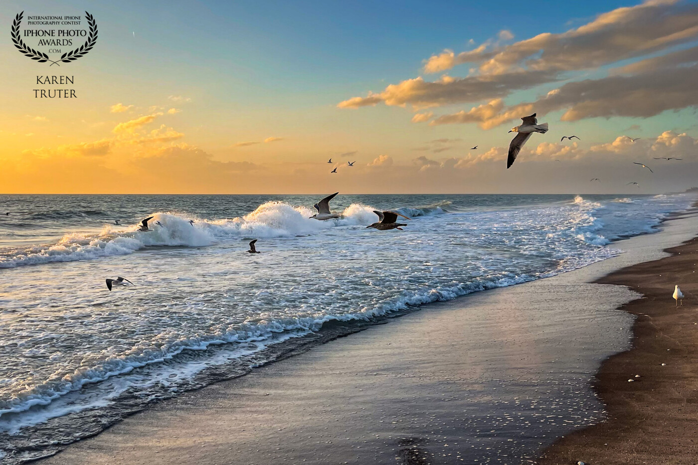 I call this photograph “Return to the Sea”. The seagulls were flying to the ocean during the last rays of light and I loved how the light reflects on the waves and the sand.