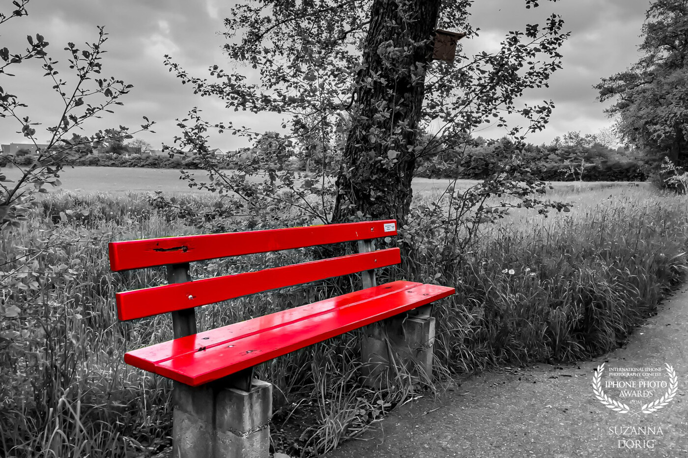 All over the village where we’re leaving, you’ll find these wonderful red benches. They seem to invite you to having a seat, take a breath and just relax while you’re listening to the bird’s song.