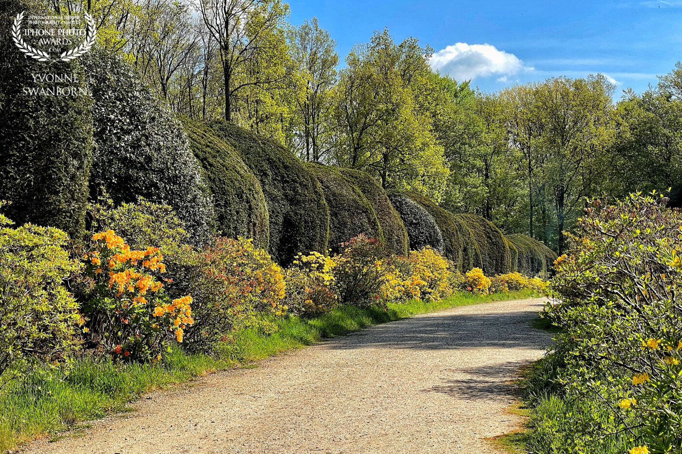 A part of the ‘Azalea’ lane at the Duno Estate in Doorwerth.