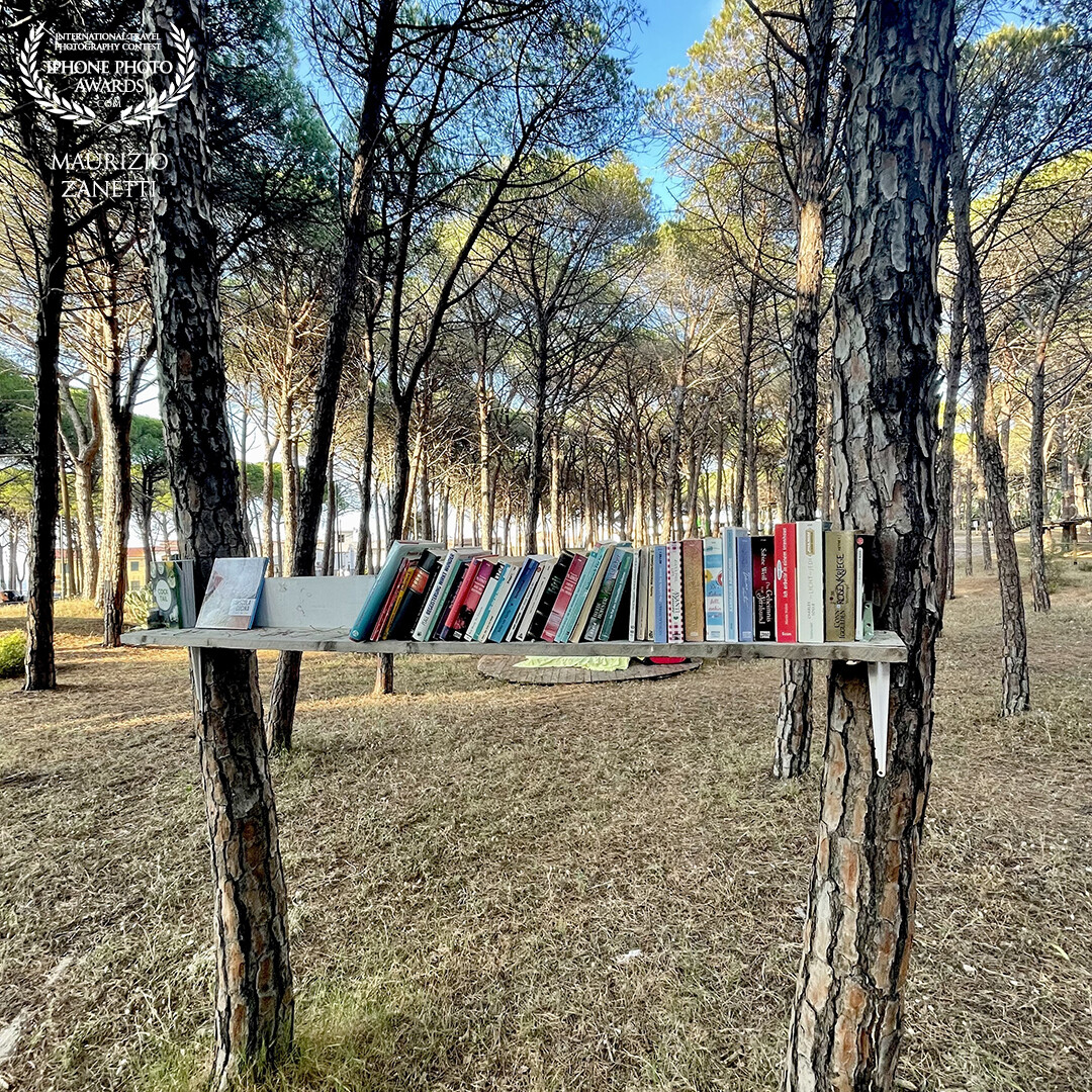 Sardinia, Santa Lucia di Siniscola. In a quiet pine forest and a few steps from the sea, someone has invented bookcrossing. For those who live there and for tourists.