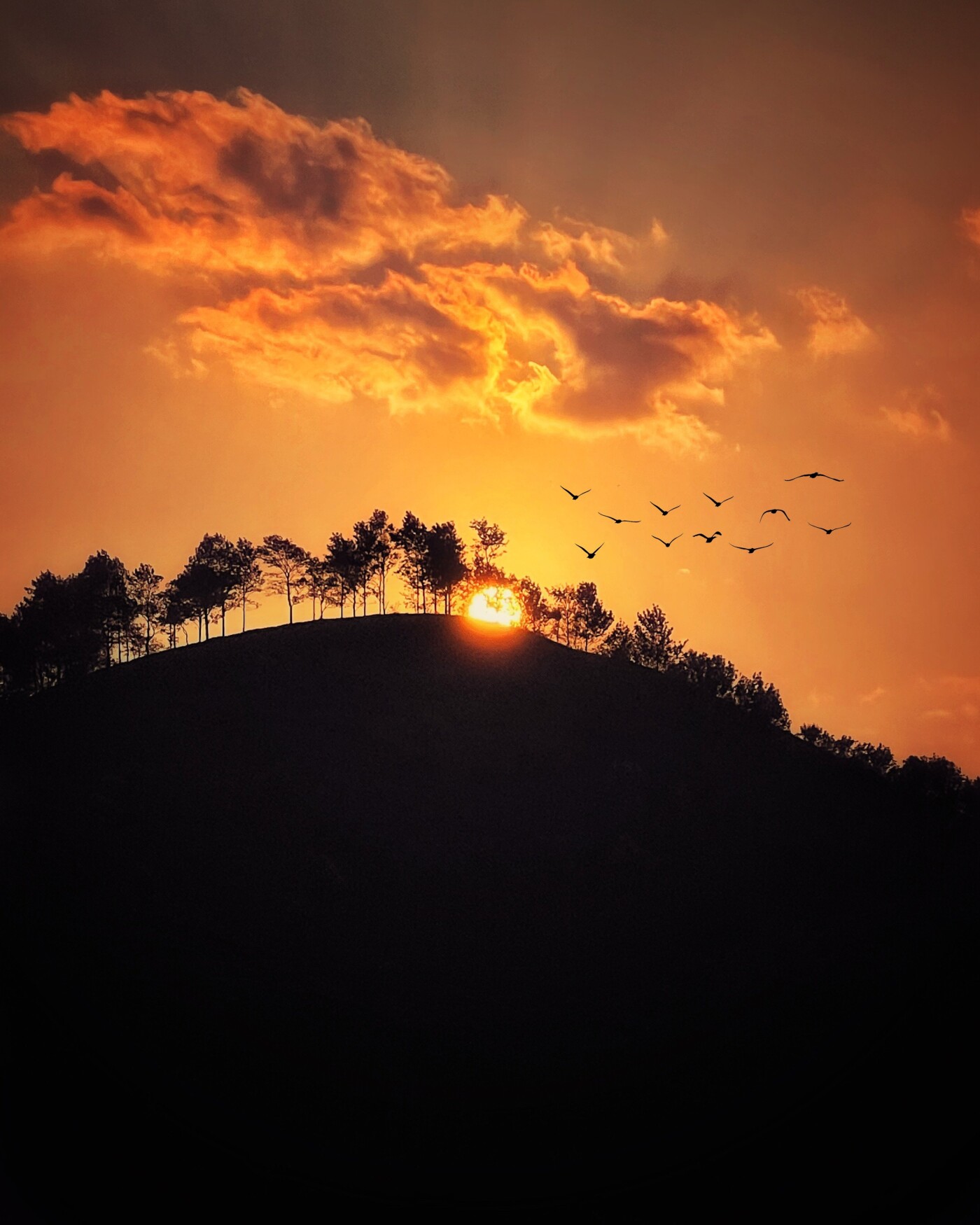 Sunset on Munnar Hills in Kerala.