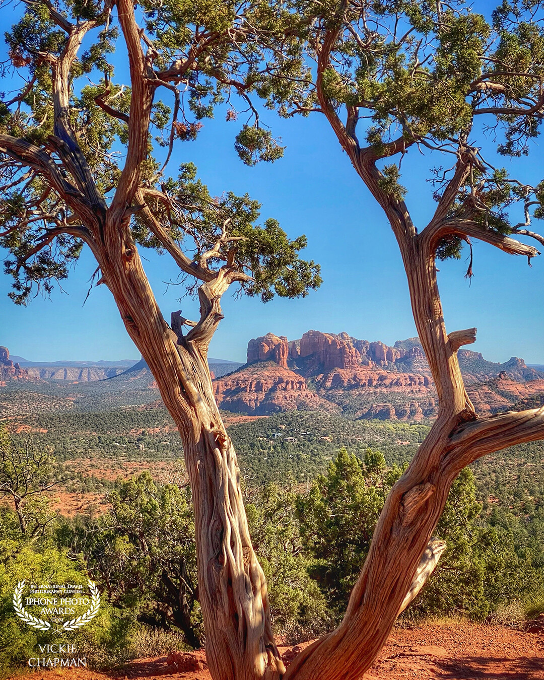 The red rocks of Sedona, AZ, the USA never ceases to take my breath away.
