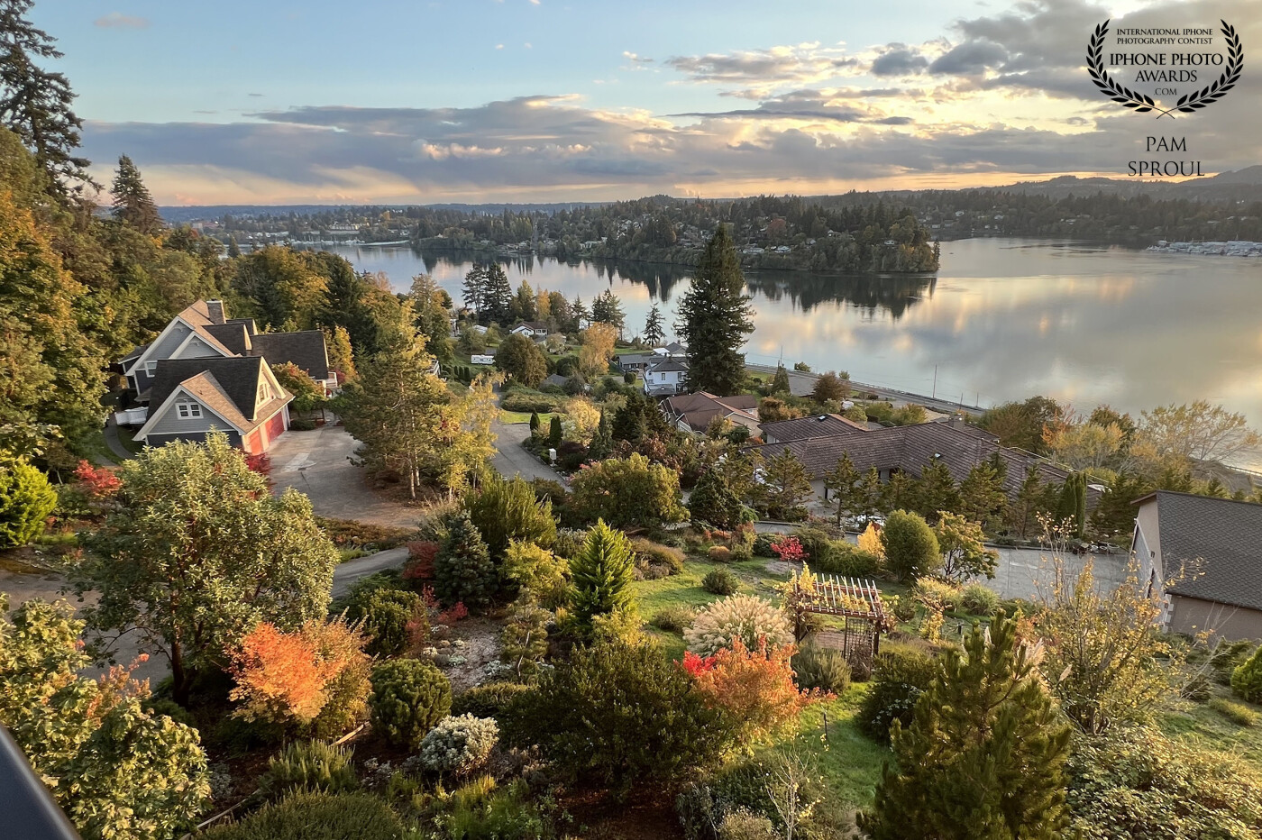 Fall bursting out in magnificent colors over Puget Sound ~ our view from our book club hosts deck.<br />
<br />
“Puget Sound fall glory” - 2023